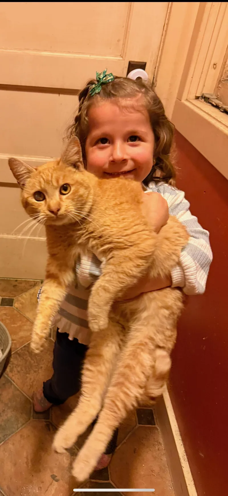 Butterscotch thumbnail 2