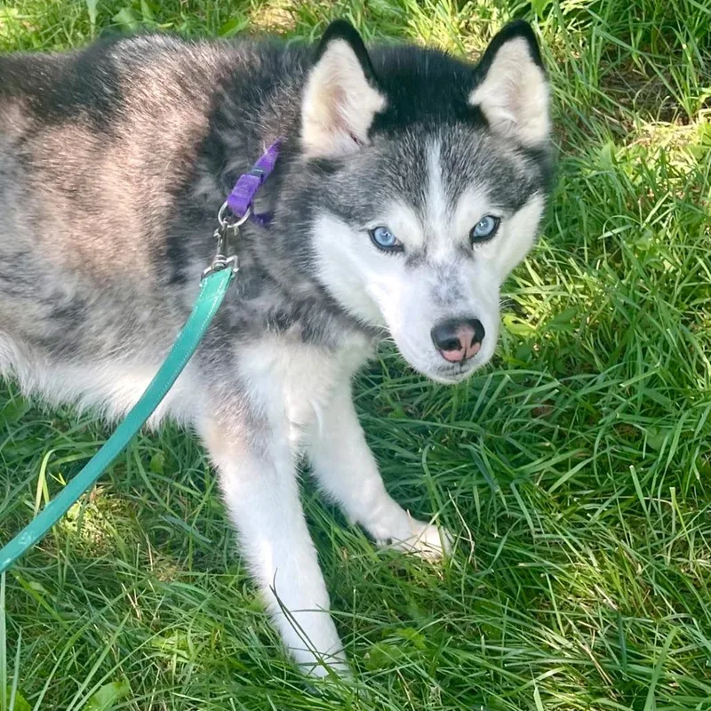 Daisy Marie thumbnail 2