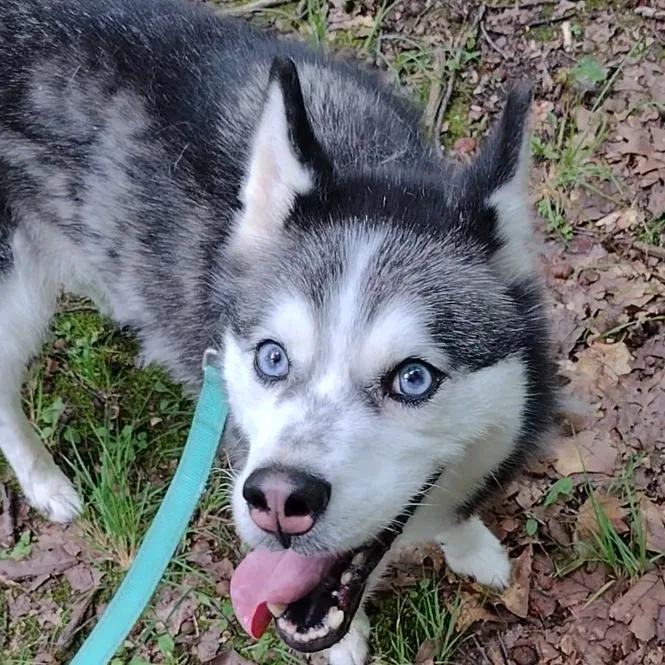 Daisy Marie thumbnail 4