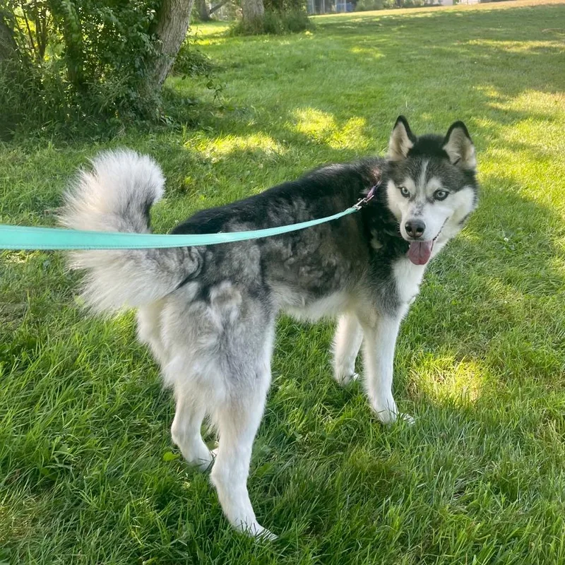 Daisy Marie thumbnail 5