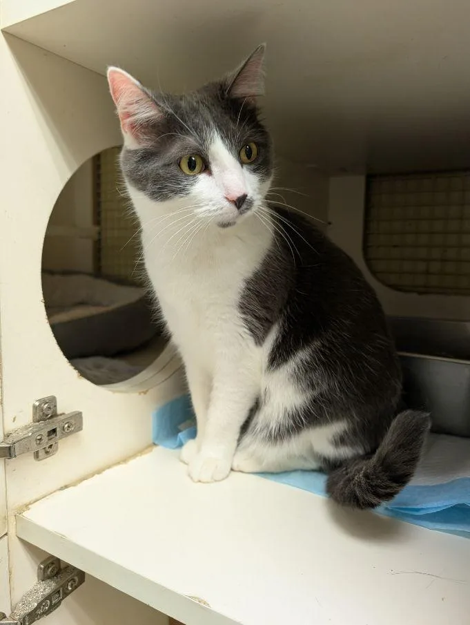 Buddy & Abby thumbnail 2