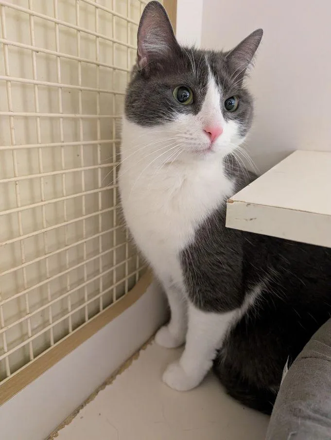 Buddy & Abby thumbnail 3