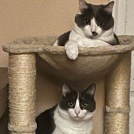 Buddy & Abby thumbnail 5