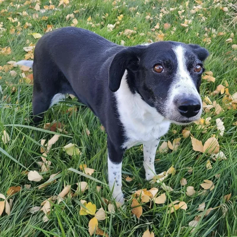 Tequilla thumbnail 2