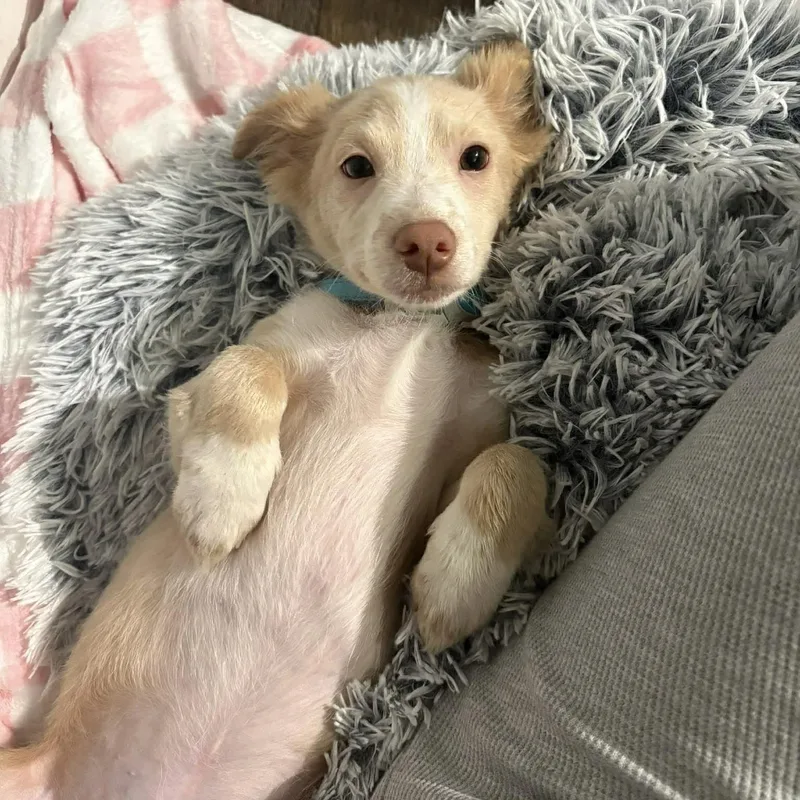 Poseidon thumbnail 3