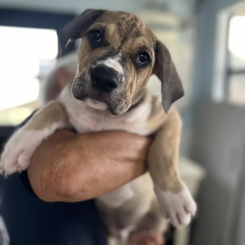 Jacob Aka Sirus thumbnail 2