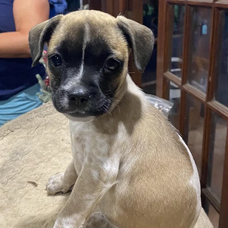 Tillage Aka Beverley