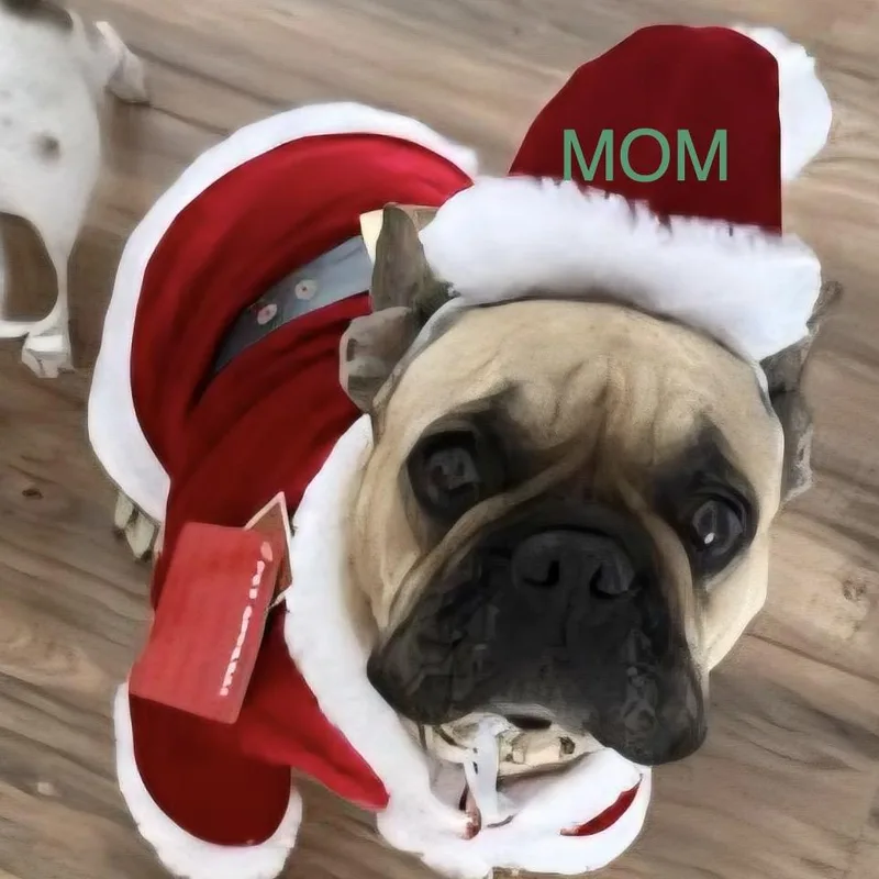 Tillage Aka Beverley thumbnail 2