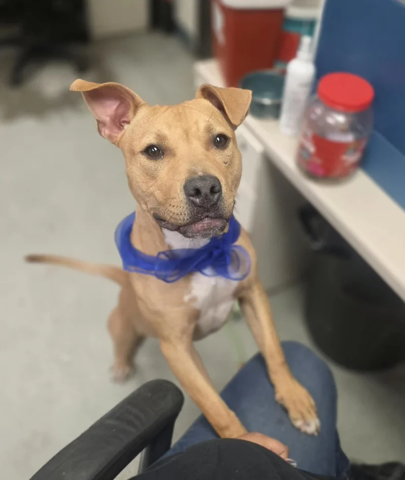 Gucci Courtey Post. Out thumbnail 2