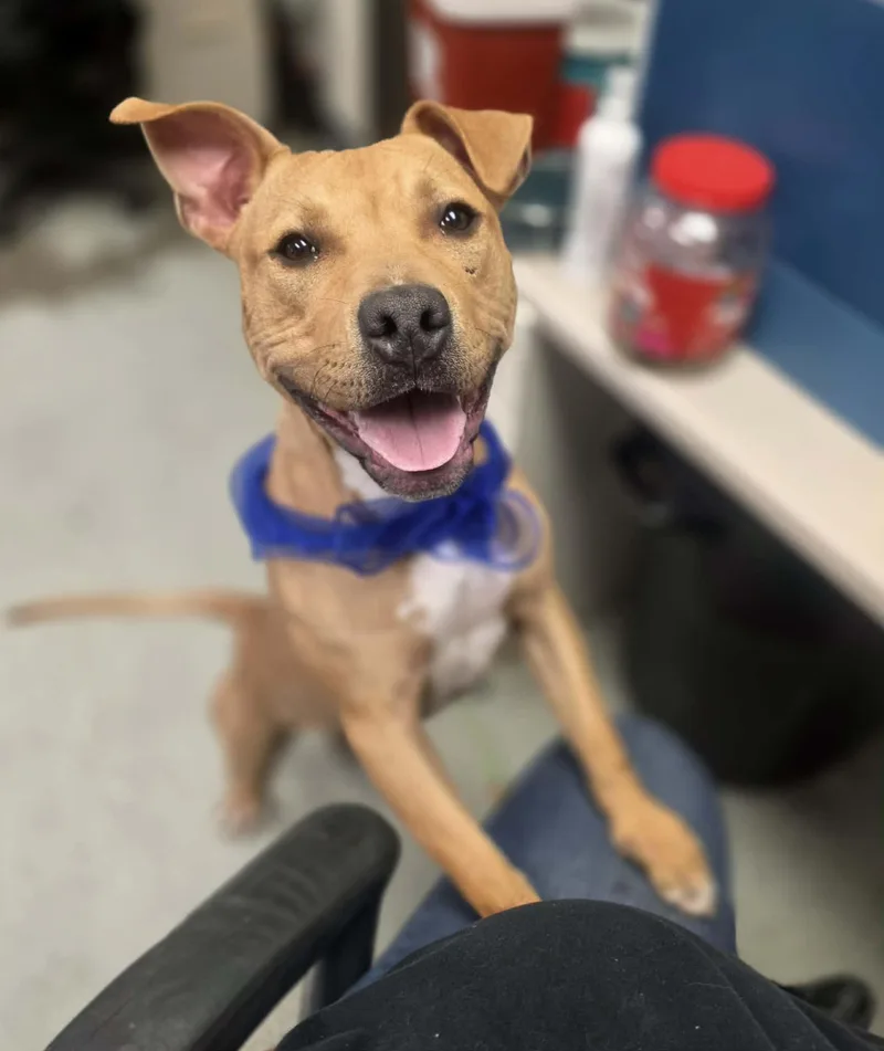 Gucci Courtey Post. Out thumbnail 4