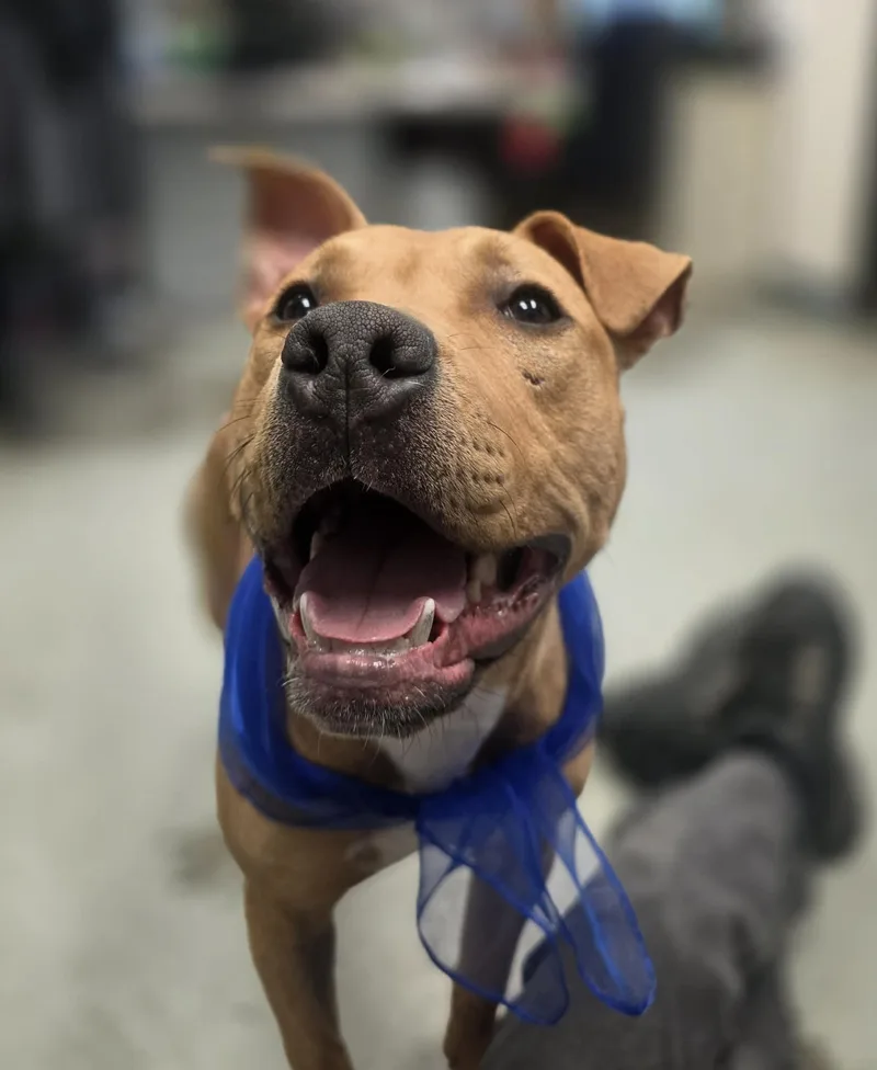 Gucci Courtey Post. Out thumbnail 5