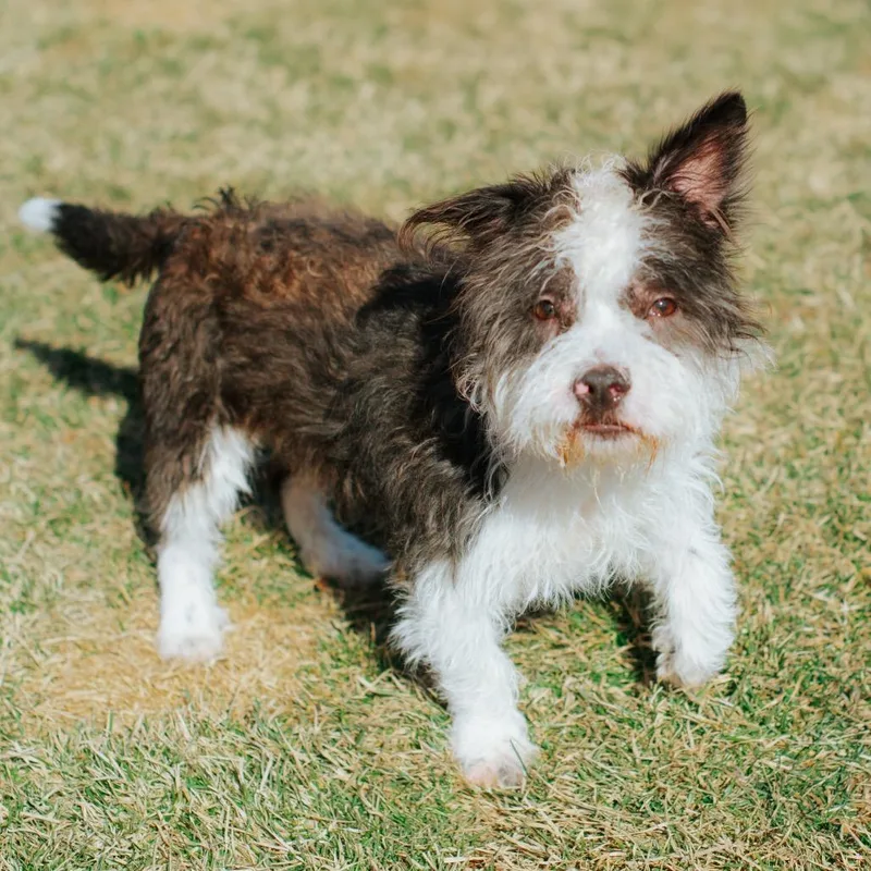 Justin Bieber thumbnail 2