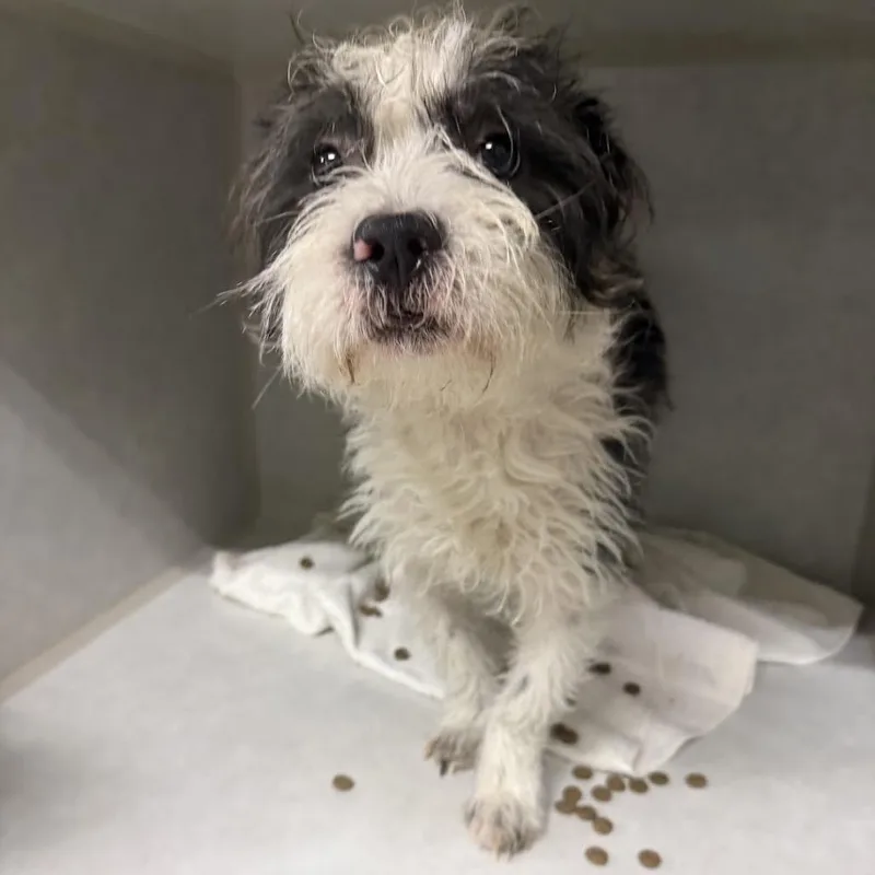 Justin Bieber thumbnail 3