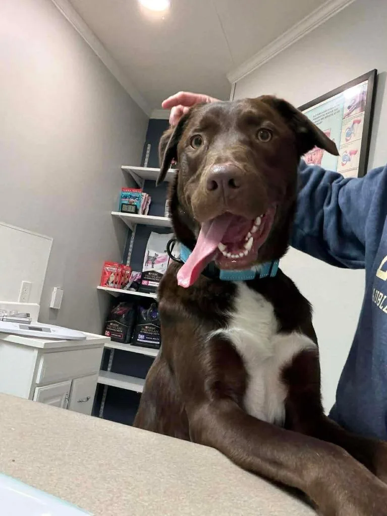 Lightning thumbnail 2