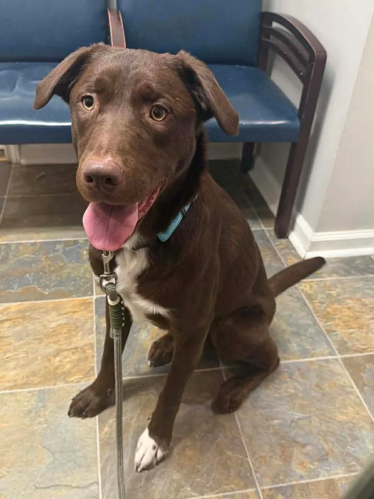 Lightning thumbnail 3