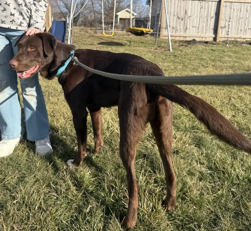 Lightning thumbnail 4