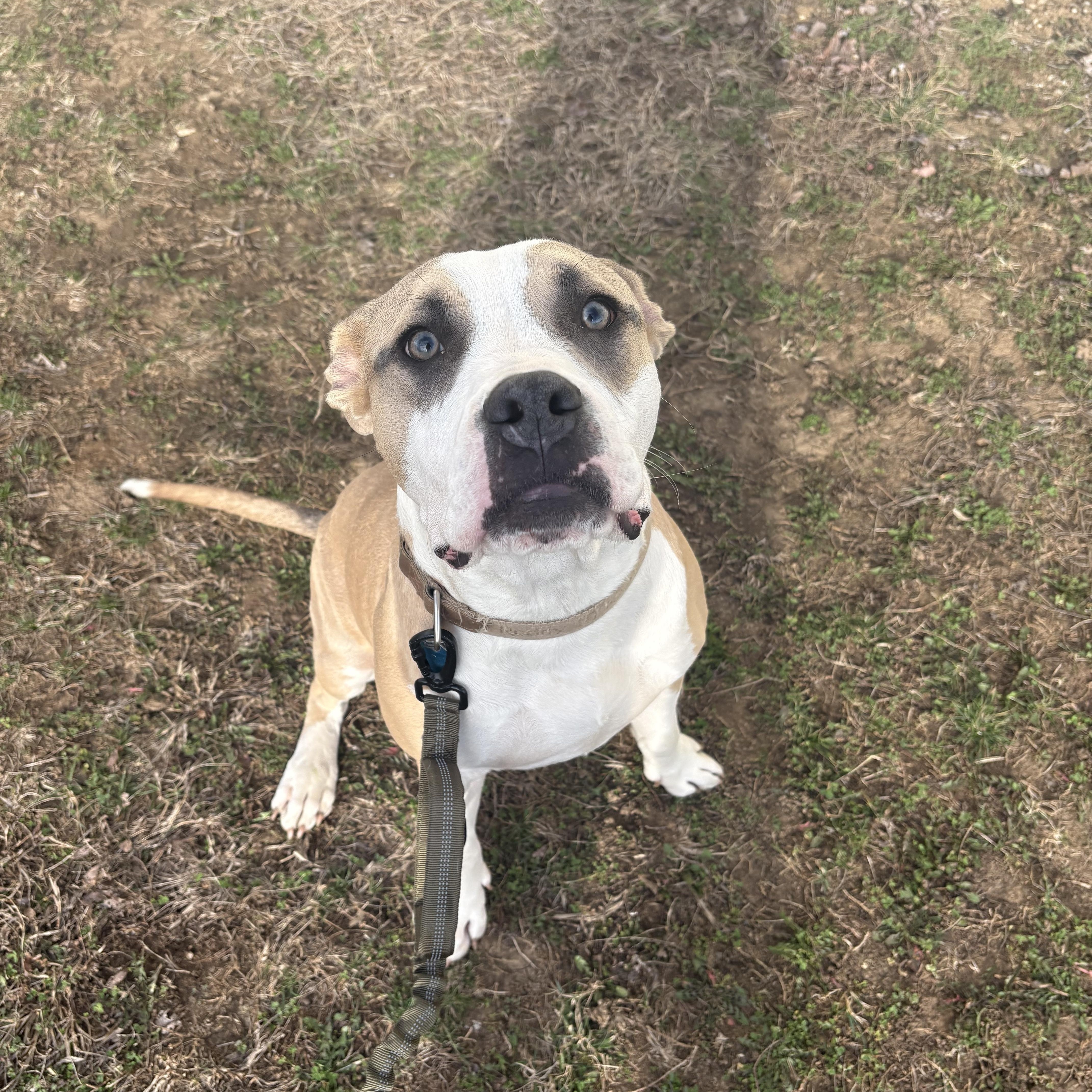 Flapjack thumbnail 2