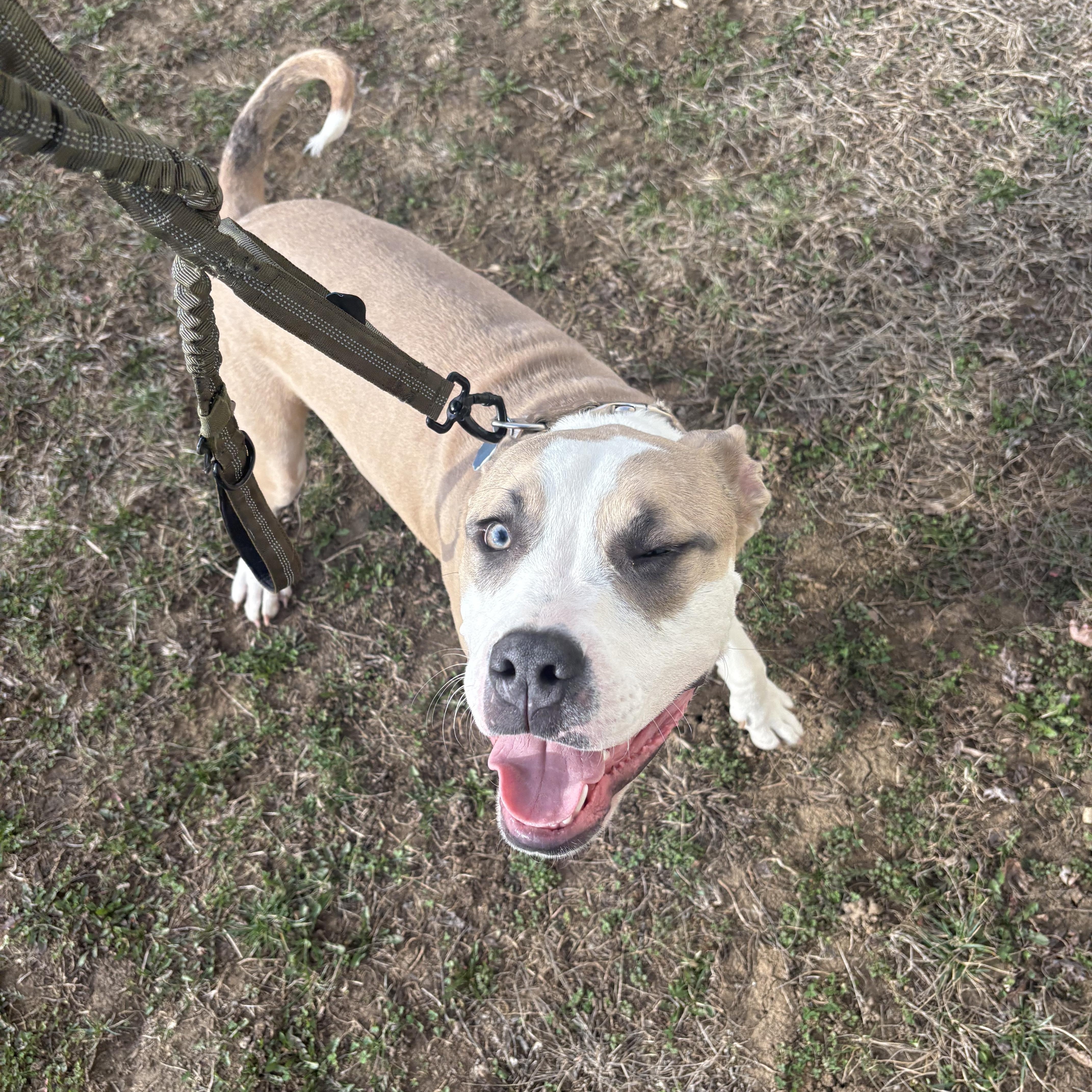 Flapjack thumbnail 3