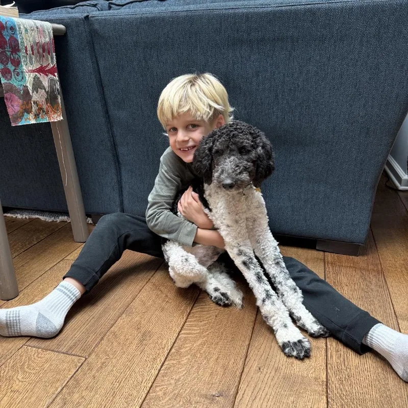 Pooty Poo thumbnail 5