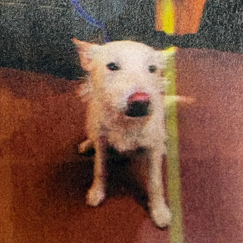 Sharkboy thumbnail 3