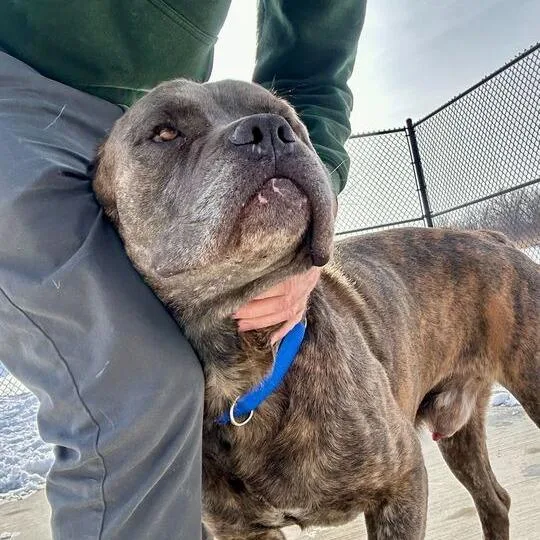 Snarfles thumbnail 6