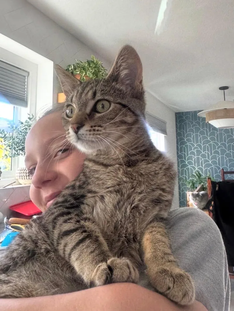 Cordelia thumbnail 5