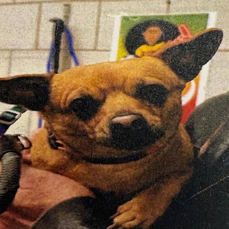 Corey In The House thumbnail 2