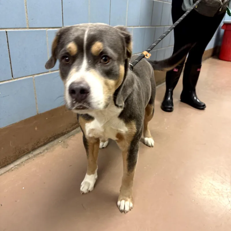 Cornelius Bay thumbnail 2