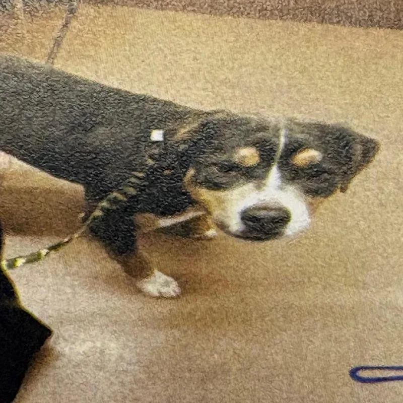 Cornelius Bay thumbnail 3