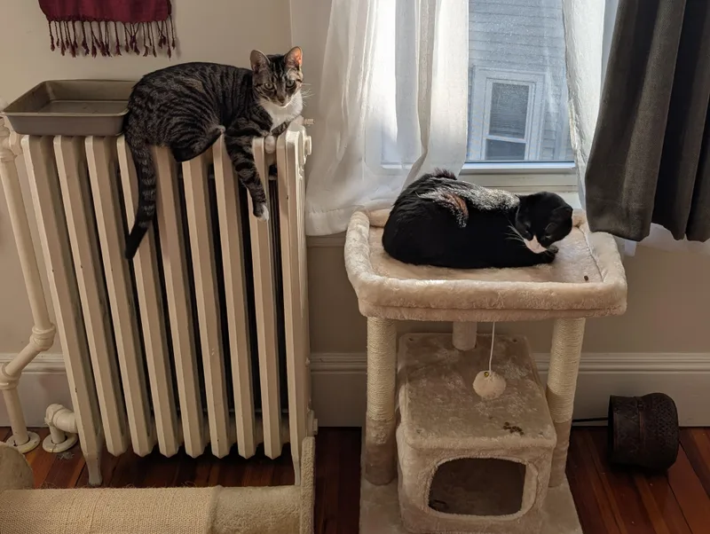 Klaus & Nova thumbnail 6