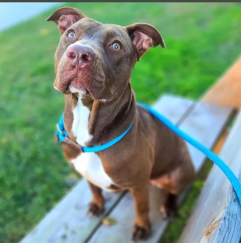 Moosie Longs To Connect thumbnail 3