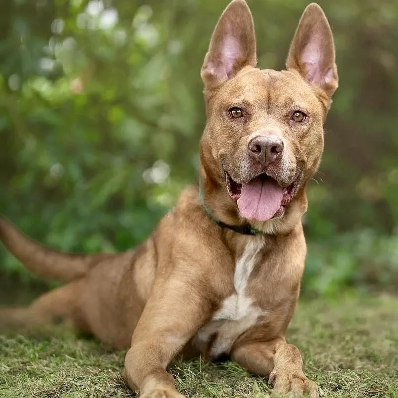 Rosia Such A Beautiful