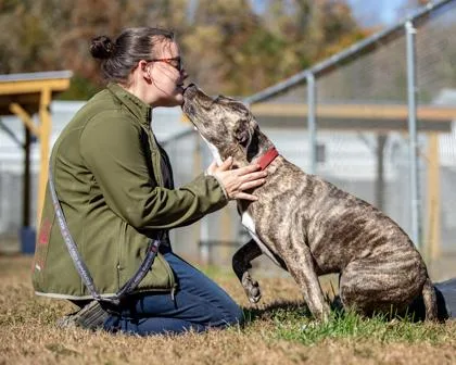 Skylar Fka Piggy thumbnail 3