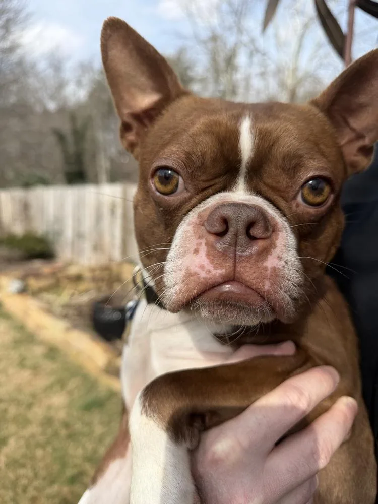 Tucker Mcdaniel Jonesborough  thumbnail 4