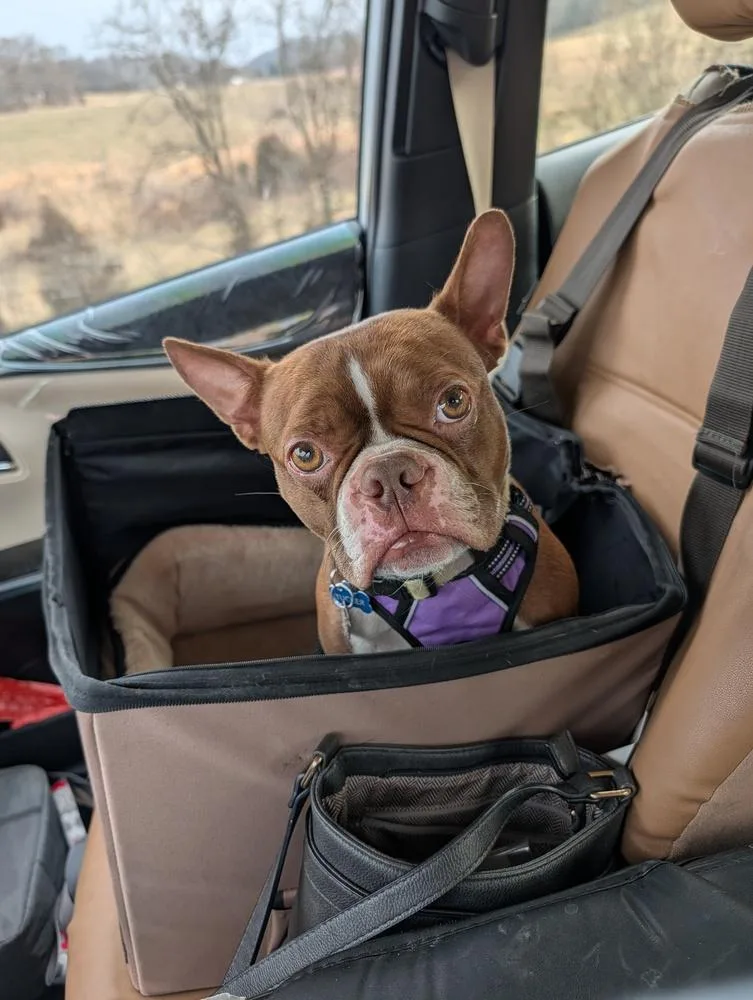 Tucker Mcdaniel Jonesborough  thumbnail 5