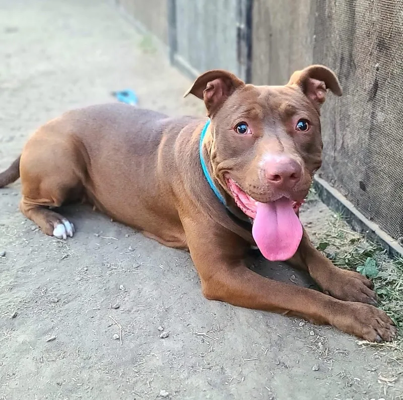 Ms. Moosie Sassy And thumbnail 2