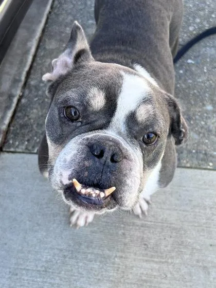 Kenneth Walker  Mvp thumbnail 2