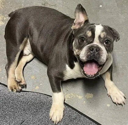 Kenneth Walker  Mvp thumbnail 3