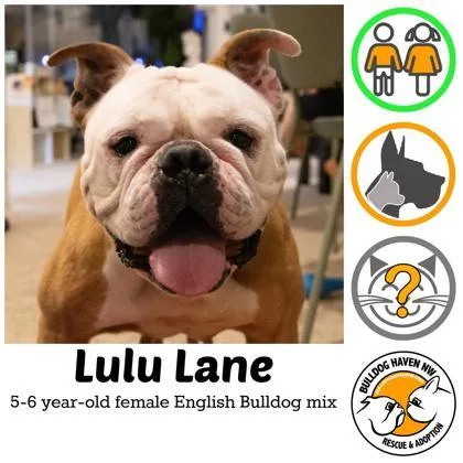 Lulu Lane
