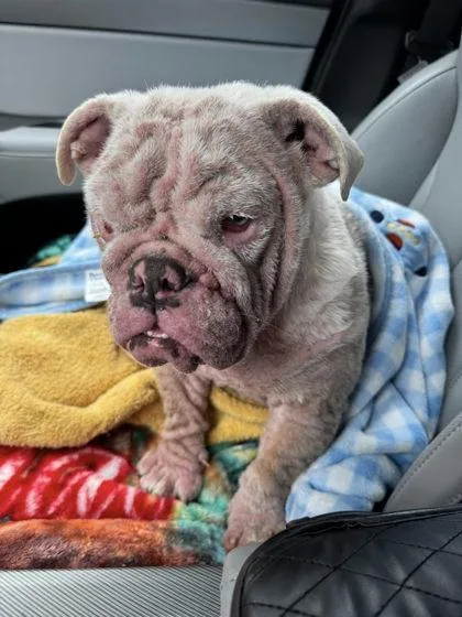 Pinky Malone thumbnail 2