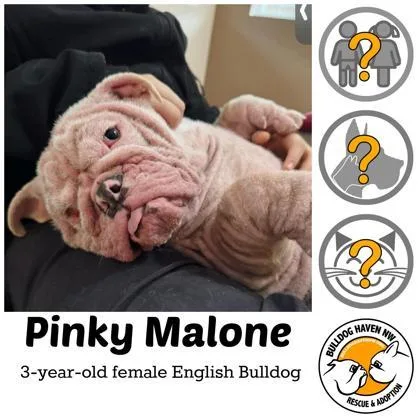 Pinky Malone