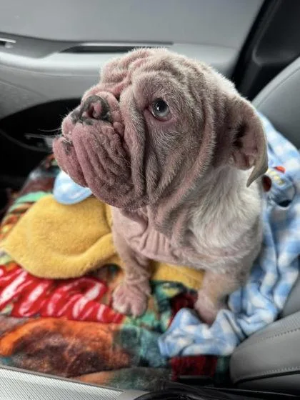 Pinky Malone thumbnail 3