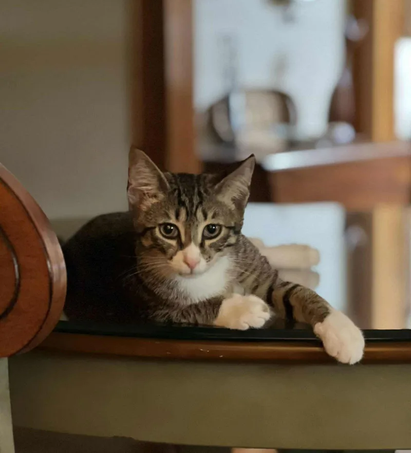 Sour Patch thumbnail 2