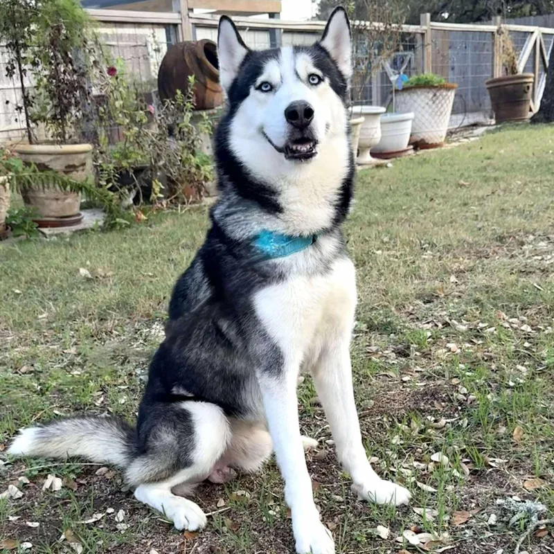 Sokka Is A Cool thumbnail 5