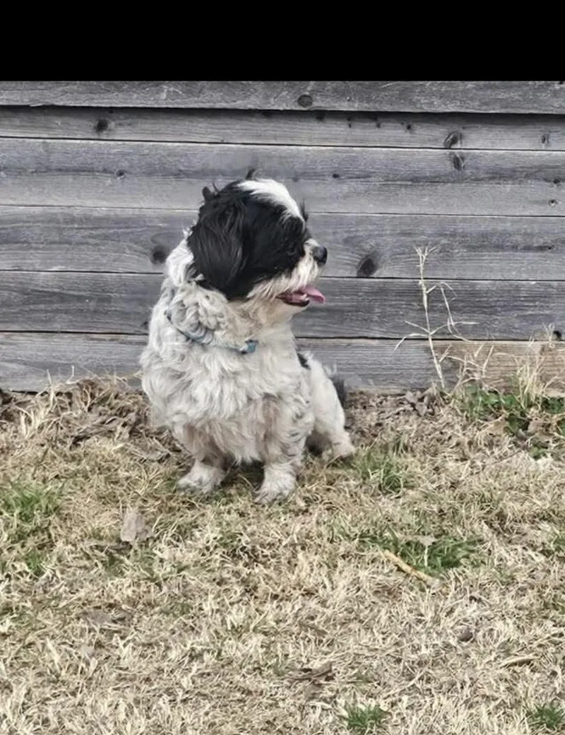 Hairy Is Perfect! thumbnail 2