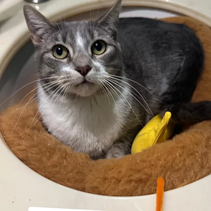 Lily Jenkins thumbnail 2