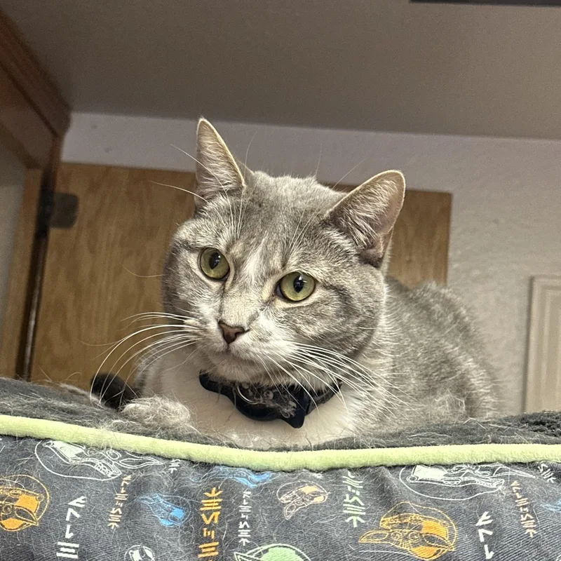 Lily Jenkins thumbnail 4