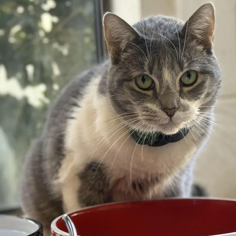 Lily Jenkins thumbnail 6