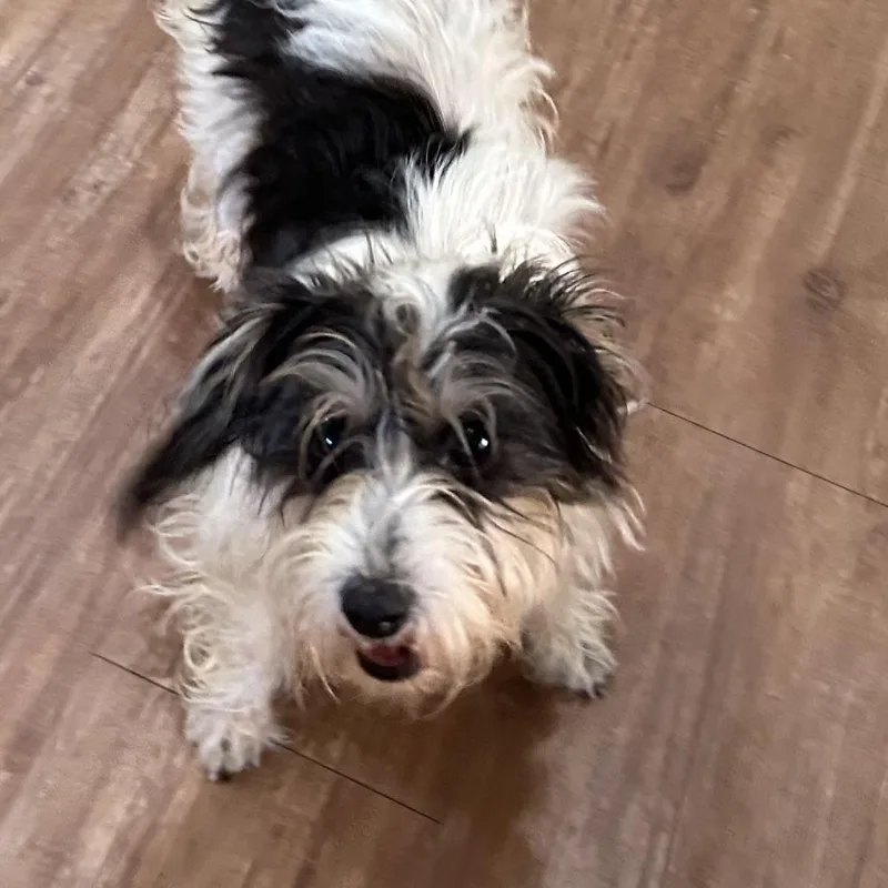 Keely Ann thumbnail 2