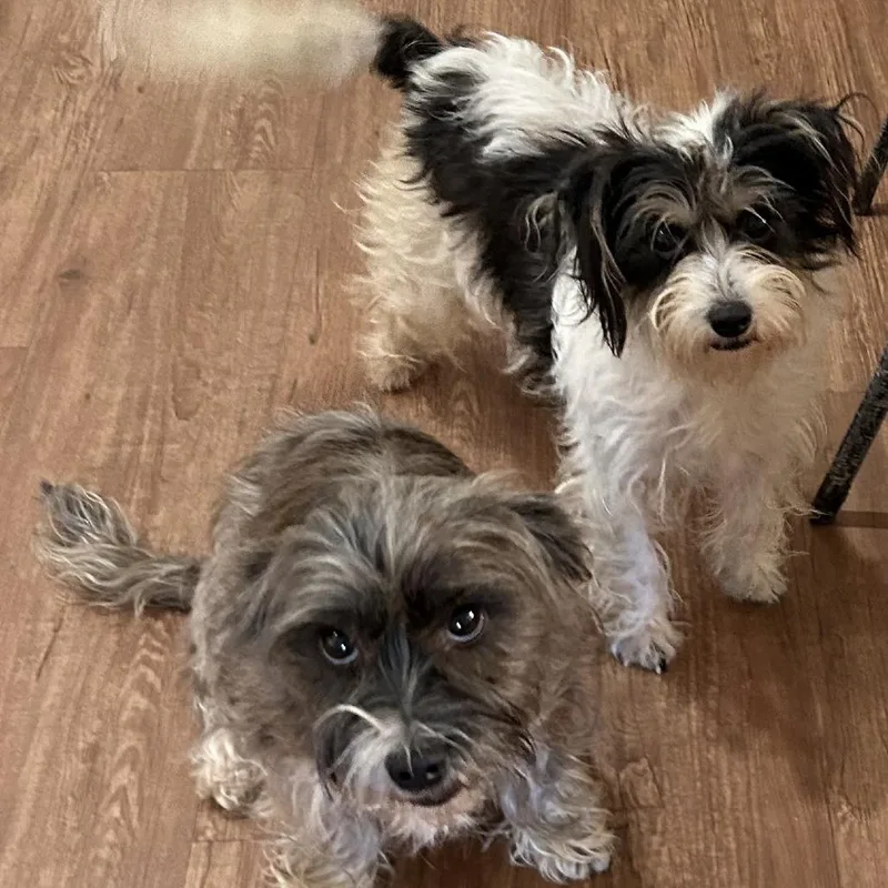 Keely Ann thumbnail 4